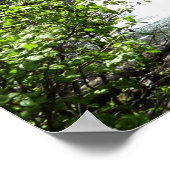 バージニア滝アットグレイシャナショナルパーク ポスター (角)