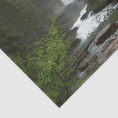 バージニア滝アットグレイシャナショナルパーク 薄葉紙 (詳細)