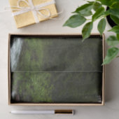 バージニア滝アットグレイシャナショナルパーク 薄葉紙 (ギフト)