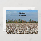 バージニア秋 ポストカード (正面/裏面)