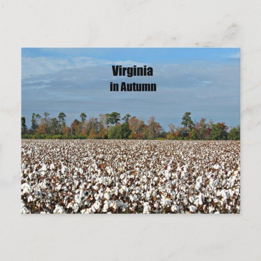 バージニア秋 ポストカード (正面)