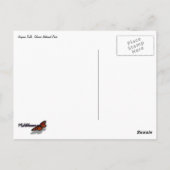 バージニア秋II at Glacier National Park ポストカード (裏面)