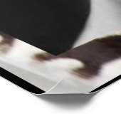 バージニア・ウルフ&ズ書引用文ポスター ポスター (角)