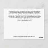 バージニア・スパイダーウォート ポストカード (裏面)