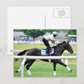 バージニア・ダービー賞受賞者「War Dancer」 ポストカード (正面/裏面)