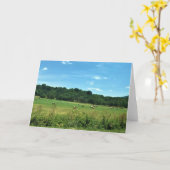 バージニア・ワイテビル・ヘイバレス カード (黄色い花)