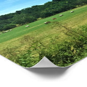 バージニア・ワイテビル・ヘイバレス ポスター (角)