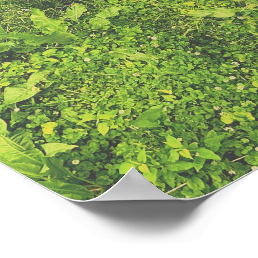 バージョン ポスター (角)