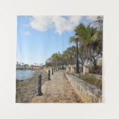 バージン諸島 熱帯の水辺 セントクロイ USVI タペストリー (正面)