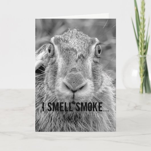 バースデーカードユーモアの白黒写真バニー カード (正面)