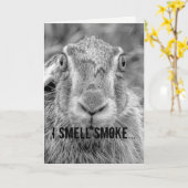 バースデーカードユーモアの白黒写真バニー カード (黄色い花)