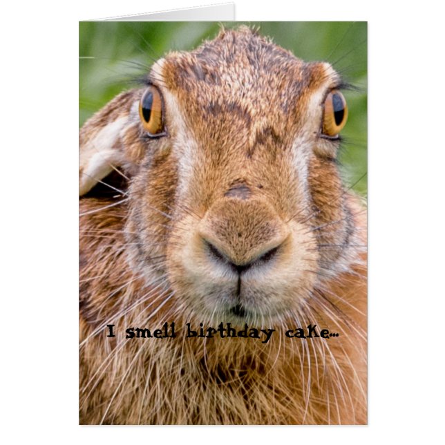 バースデーカードユーモアbungle rabbit nose (正面)