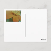 バースデーカード ポストカード (裏面)