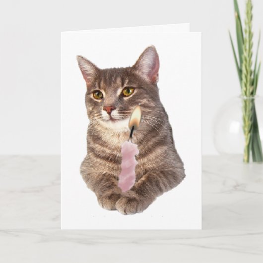 バースデーキャンドル付き子猫 カード (正面)