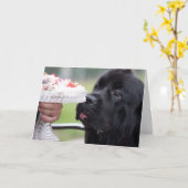 バースデーケーキと犬のカード カード (黄色い花)
