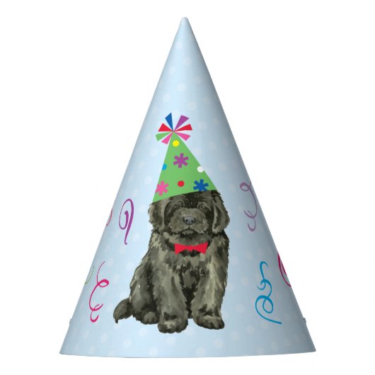 バースデーパーティニューファンドランドパーティーハット パーティーハット (正面)