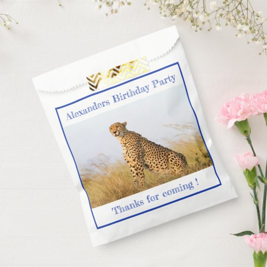 バースデーパーティーのアクセサリーチーテパーソナライズされたー フェイバーバッグ (封をした状態)