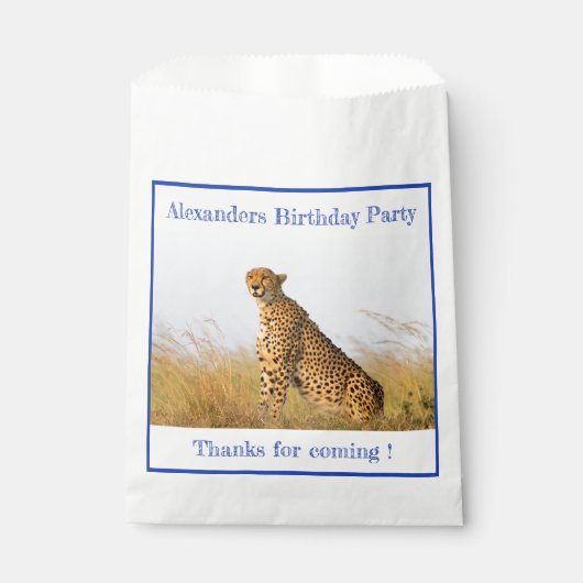 バースデーパーティーのアクセサリーチーテパーソナライズされたー フェイバーバッグ (正面)