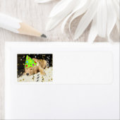 バースデーパーティーゴールデンレトリバー ラベル (インサイチュ)