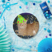 バースデーパーティードオレンジタビーキャット ペーパープレート (パーティー)