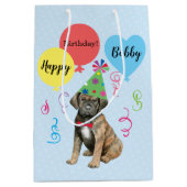 バースデーパーティーバルーンケーンコルソ中抱き枕 ミディアムペーパーバッグ (正面)