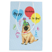 バースデーパーティーバルーンズテルヴァレン ミディアムペーパーバッグ (裏面)