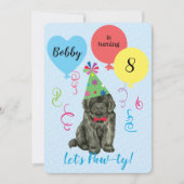 バースデーパーティーバルーンニューファンドランド招待状 招待状 (正面)