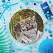 バースデーパーティープレート ペーパープレート (パーティー)