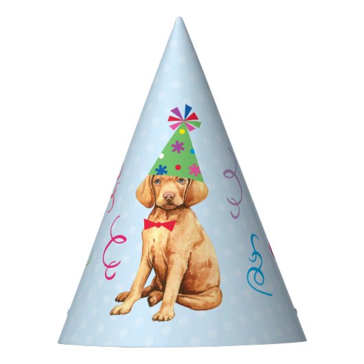 バースデーパーティーヴィツラパーティーハット パーティーハット (正面)