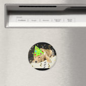 バースデーパーティー動物ゴールデンレトリバー マグネット (インサイチュ (食洗機))