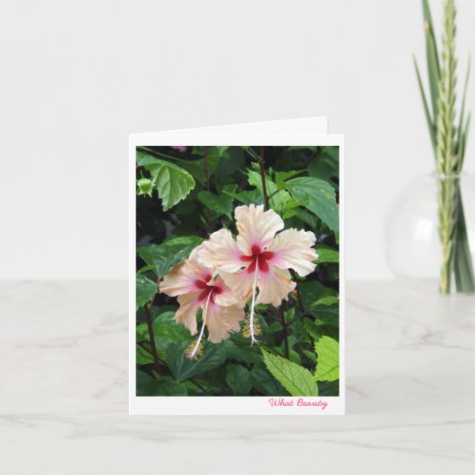 バースデー・カードどんな美しい カード (正面)