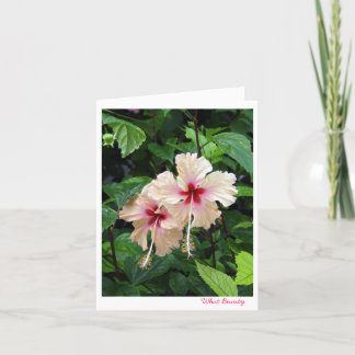 バースデー・カードどんな美しい カード