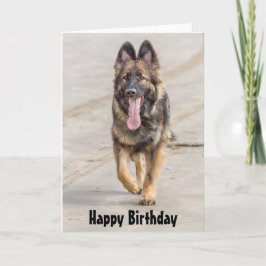 バースデー・カードのジャーマン・シェパード犬のアルザス人 カード