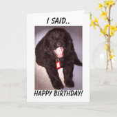 バースデー・カードのニューファウンドランドの子犬 カード (黄色い花)