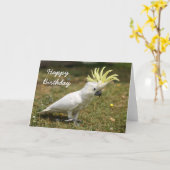 バースデー・カードの硫黄によって頂点に達されるオカメインコ カード (黄色い花)