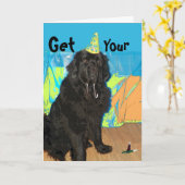 バースデー・カードの~のニューファウンドランド犬 カード (黄色い花)