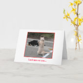 バースデー・カード カード (黄色い花)