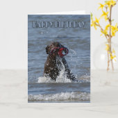 バースデー・カード-チョコレートラブラドールを遊んでいる犬 カード (黄色い花)