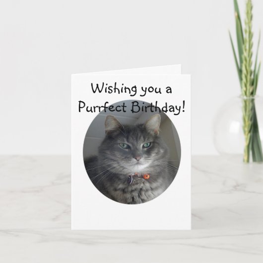 バースデー・カード-マーリン猫 カード (正面)