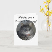 バースデー・カード-マーリン猫 カード (黄色い花)