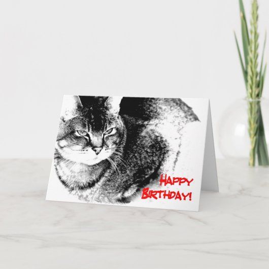 バースデー・カード-半ビルマ猫 カード (正面)