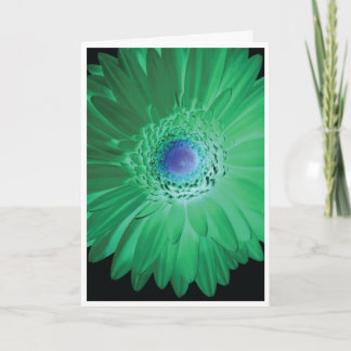 バースデー・カード-否定的があないで下さい カード