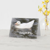 バースデー・カード: 子ガモ カード (黄色い花)