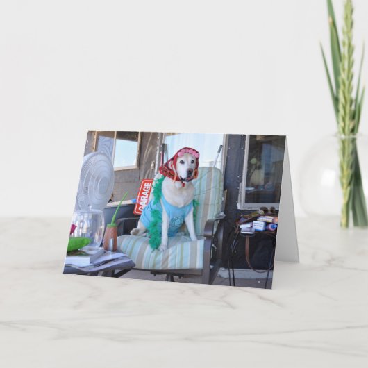 バースデー・カード、curlersの犬の写真 カード (正面)