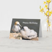 バースデー・カード: Gannetおよびひよこ カード (黄色い花)