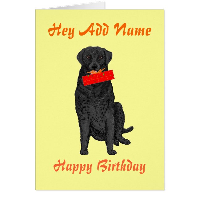 バースデー・プレゼントを握っている犬 (正面)