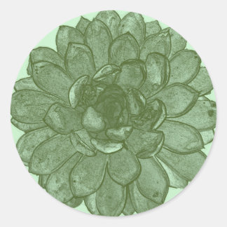 バーストが開いた状態 – 緑と青 ラウンドシール