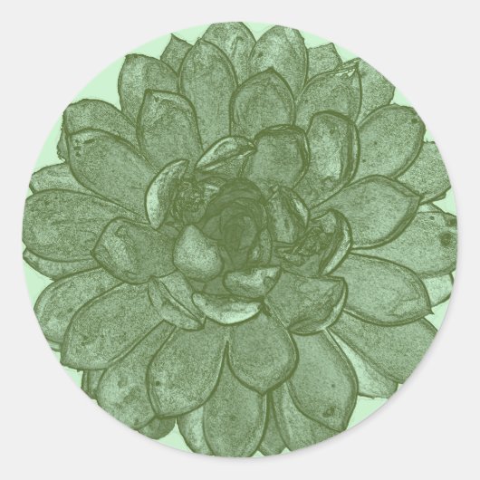 バーストが開いた状態 – 緑と青 ラウンドシール (正面)