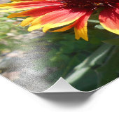 バースト明るい フォトプリント            (角)