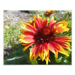 バースト明るい フォトプリント           